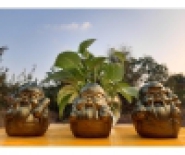  Tượng phong thủy là một trong những thành phần quan trọng trong nghệ thuật phong thủy.